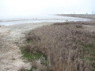 В последнее время местность осваивают лю