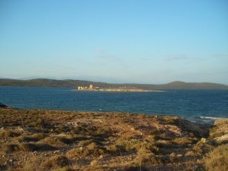 Что касается флоры, то вдоль лиманских п