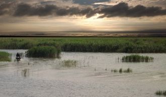 Хаджибейский лиман является удивительно 