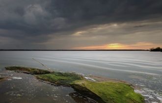 В летнее время воды лимана часто «зацвет