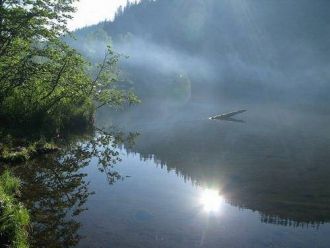 В состав угодья входят крупное мелководн