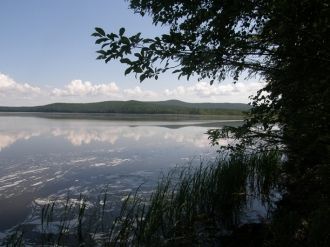 Берега извилистые, в северной части низк