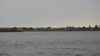 Гидрологический режим ровный, колебания 