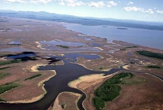 Основными местообитаниями в данном угодь