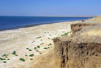 На озере Маныч-Гудило из-за высокой мине