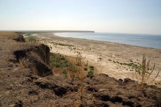 Поэтому было решено  на базе этого удиви