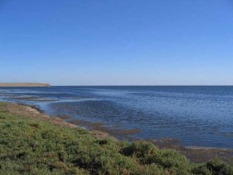 Только так можно сохранить для будущих п