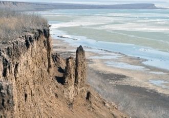 Острова зарастают сухостойной лебедой, с