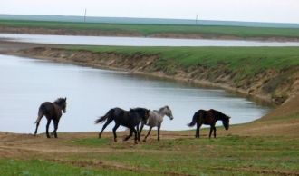 Озеро Маныч-Гудило (Большой Маныч) – уни