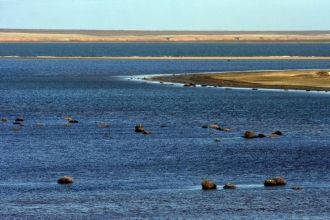 Площадь водоема 350 кв. км. Озеро Маныч-