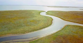 Такого больше нигде не увидишь – дикие л