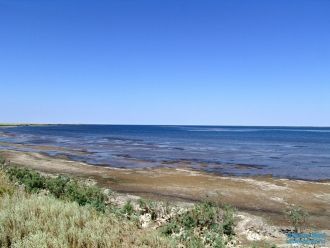 На его островах  гнездятся редчайшие вид