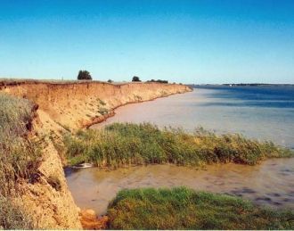 Посредине озера Маныч-Гудило находится о