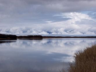 Питание снежно-дождевое. Через протоку С