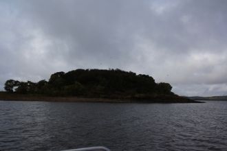 Ученые утверждают, что через тысячу лет 