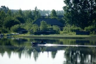 Здесь имеется большое количество роднико