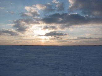 В районе мелководья озеро сильно зараста