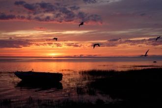 В озеро впадают 12 рек (главная из них —