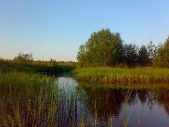 Из северной части водоема вытекает речка