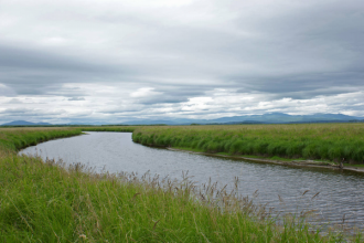 Примыкающие к озеру холмы покрыты листве