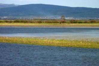 В озере Удыль водная растительность пред