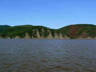 Важное место концентрации водоплавающих 