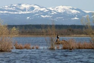 Озеро мелководное - средняя глубина лето
