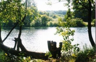 Подобный рельеф территории, достаточно н