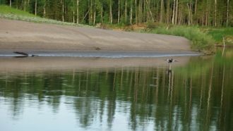 Его облик до некоторой степени типичен д