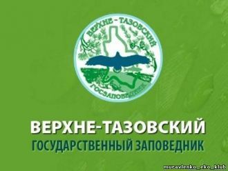 В средней своей части они невысоки и сил