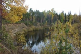 Ландшафт в границах заповедника очень не