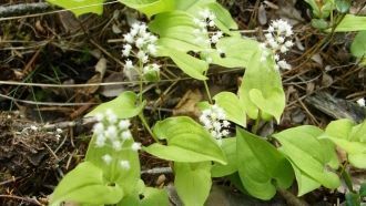 Верхне-Тазовский заповедник — удачный пр