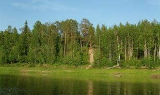 Большая часть территории заповедника рас