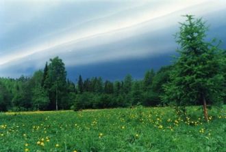 Висимский заповедник