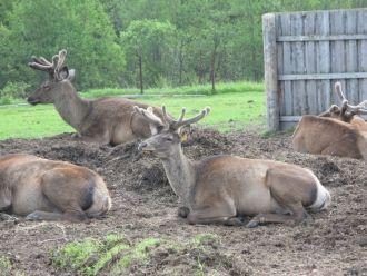 Заповедник расположен на землях Муниципа
