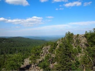 Фауна позвоночных животных типична для С