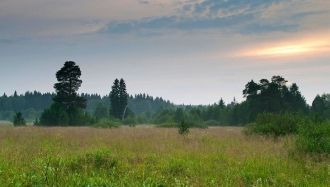 Многие программы развития здоровой цивил