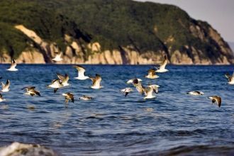 Осенью устанавливается теплая и ясная по