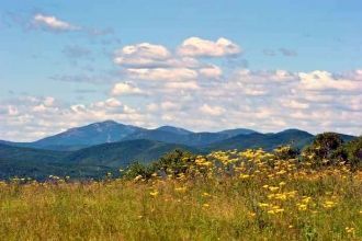 Лазовский заповедник