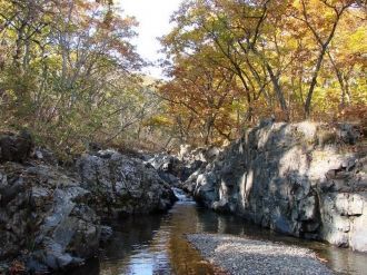 Научный отдел занимается изучением динам