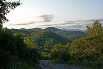 Здесь гнездятся - чешуйчатый крохаль, ут