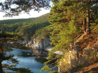 Здесь обитает около 60 видов наземных мл