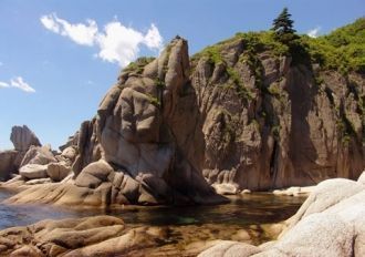 Растительный мир заповедника весьма разн