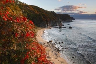 Свое нынешнее название Судзухинский запо