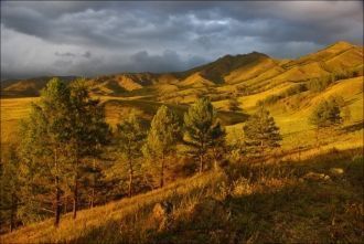 Однако после того, как были созданы круп