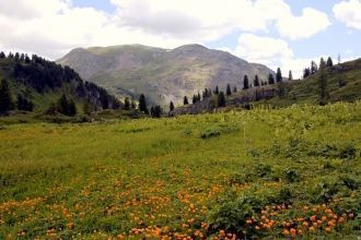 Основная цель его деятельности ─ исследо