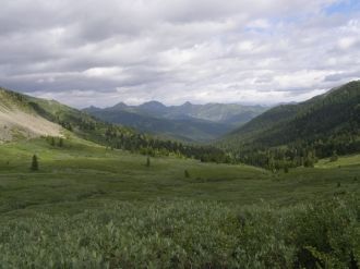 Возле участка «Камызякская степь» находя