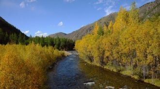 Что касается млекопитающих, занесенных в