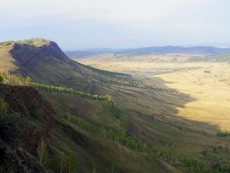 Растительный мир горно-таежного участка 