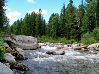 А на участке «Оглахты» было найдено посе